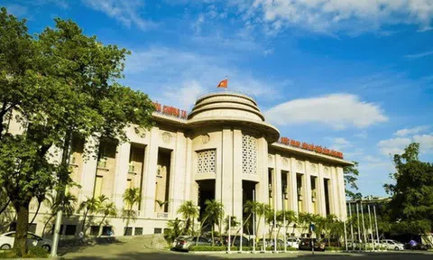 Thị trường tiền tệ tháng 7: Tăng trưởng cung tiền cao nhất kể từ năm 2021, VND tiếp tục mất giá so với USD