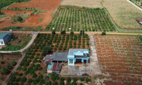 Bộ Tài chính muốn giảm mạnh tiền chuyển đất nông nghiệp sang đất ở