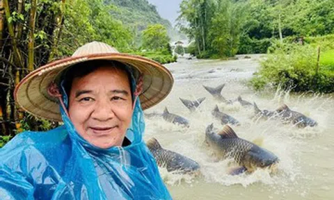 NSƯT Quang Tèo trải nghiệm suối cá 'lạ', Trọng Tấn thu hoạch hoa quả ở villa