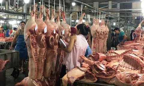 Lo ngại dịch, sức mua chậm, giá thịt heo tiếp tục giảm