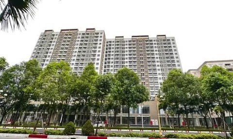 Kiểm tra đối tượng sử dụng nhà tại 5 dự án nhà ở xã hội