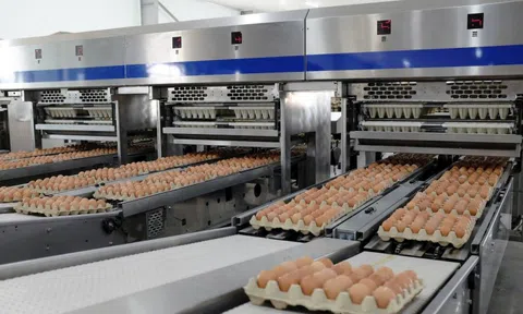 Nông nghiệp Hòa Phát dự kiến niêm yết trên sàn HoSE vào tháng 12/2025