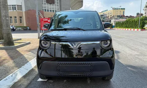 Minio Green bất ngờ "lộ diện" tại thủ đô Hà Nội