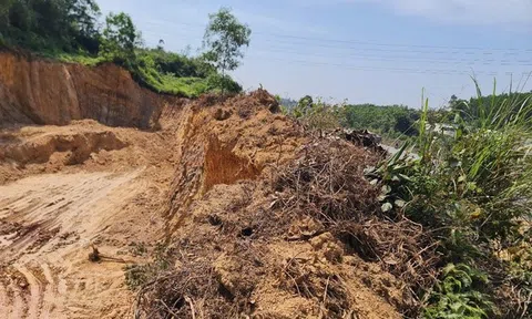 Đà Nẵng đề nghị chuyển hơn 9,5 ha đất rừng trồng sang khai thác đất