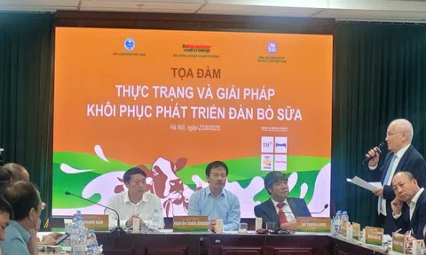 Chuyện gì đang xảy ra ở nhiều "thủ phủ bò sữa"?