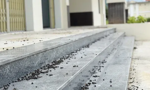 Phường ở Đà Nẵng giải thích lý do xây chợ tiền tỉ xa khu dân cư