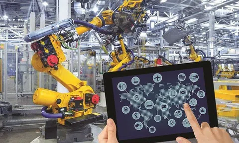 Thủ tướng phê duyệt Danh sách thành viên Ban Chỉ đạo Đổi mới và Phát triển doanh nghiệp