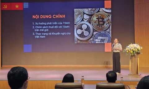 Chuyên gia nói về lùm xùm liên quan dự án Antex của Shark Bình