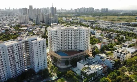 Hai nữ đại gia chi hơn 500 tỷ thâu tóm vốn 'trùm' nhà ở xã hội