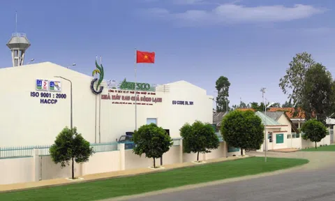 Ylang Holdings đăng ký mua 3,5 triệu cổ phiếu riêng lẻ của Antesco