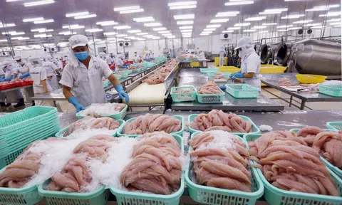 Bộ NN&MT: Vụ C.P Việt Nam đã xử lý cán bộ vi phạm