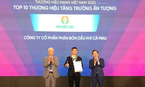 PVCFC: Đạt Top 10 Thương hiệu tăng trưởng ấn tượng năm 2025