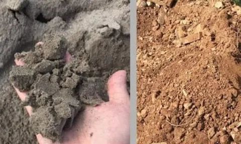 Đổ nền nhà bằng cát hay đất tốt hơn?