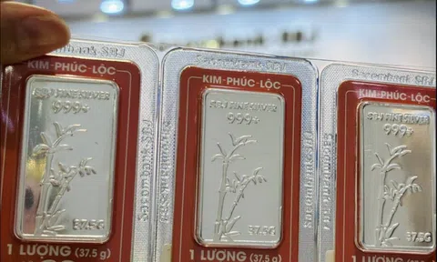 Giá bạc hôm nay 12-10: Phá đỉnh 14 năm, chuyên gia cảnh báo điều bất ngờ