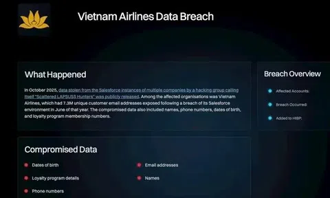 Vietnam Airlines lên tiếng về sự cố bảo mật dữ liệu