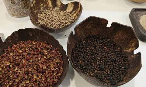 Thu 55 tỉ nhưng hoàn thuế tới 2.135 tỉ đồng, tới lượt ngành tiêu lên tiếng