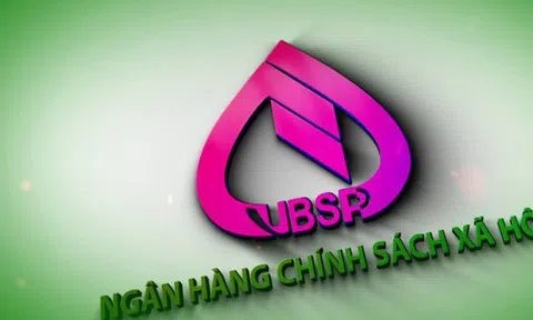 Đề xuất NHCSXH được Ngân sách Nhà nước cấp bổ sung vốn điều lệ hằng năm và thay đổi về trích lập dự phòng rủi ro tín dụng