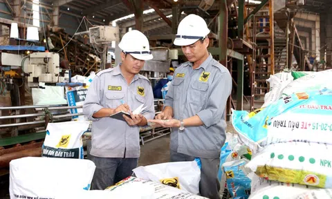 Phân bón Bình Điền (BFC) vượt 47% mục tiêu lợi nhuận năm 2025 trong 9 tháng