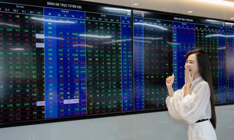 Cổ phiếu ngân hàng đua nhau tăng trần