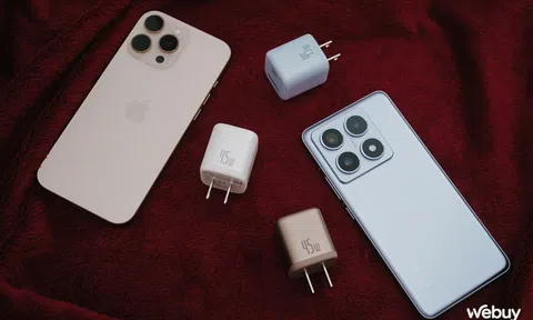 Thật không thể tin nổi: Người Việt chi hơn 2.000 tỷ đồng mua gần 26 triệu sản phẩm này trong năm qua