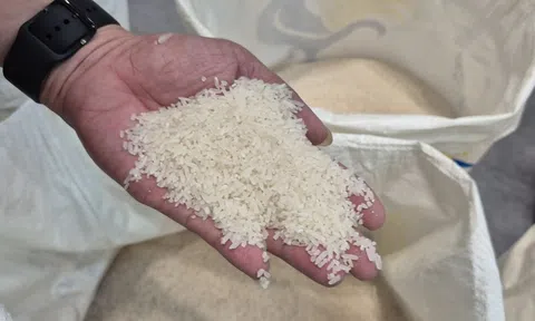 Quốc gia nhập khẩu gạo số 1 thế giới lại có động thái mới