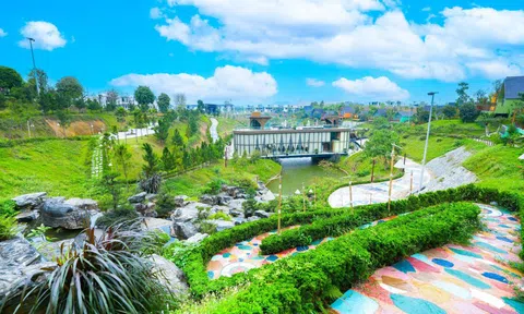 Tỉnh giấc giữa đồi thông, Legacy Hill và hành trình tìm về giá trị sống nguyên bản