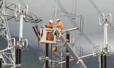 EVNNPT: Hệ thống truyền tải điện quốc gia đã truyền tải an toàn, liên tục, ổn định trên 193 tỷ kWh điện