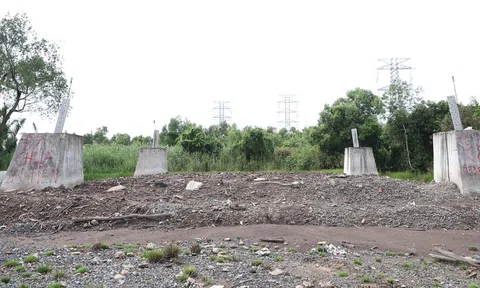 Đồng Nai nỗ lực bàn giao mặt bằng cho các dự án giải tỏa công suất Nhà máy điện Nhơn Trạch 3 và 4