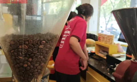 Giá cà phê hôm nay 23-10: Tăng mạnh và dự báo đáng chú ý