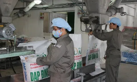 DAP - VINACHEM (DDV) báo lãi quý III cao kỷ lục, gấp 11 lần cùng kỳ