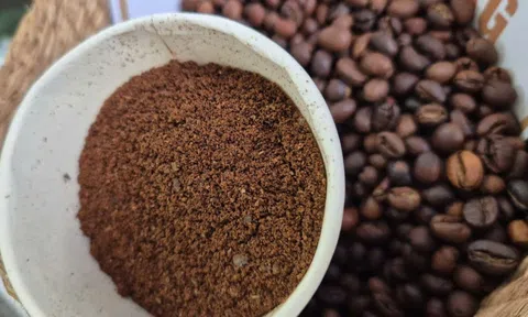 VICOFA nói gì về thông tin Mỹ giảm thuế cà phê Việt Nam xuống 0%?