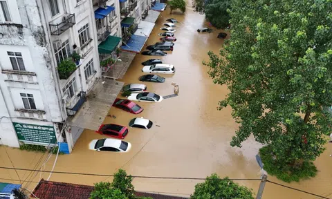 Doanh nghiệp bảo hiểm ước tính thiệt hại gần 1.700 tỷ đồng do bão số 10 và số 11