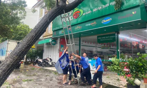 Giữa bão số 10, siêu thị tung gói bình ổn giá, giảm đến 33%