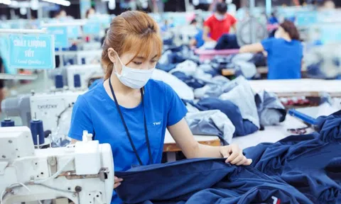 Hé lộ mức thu nhập tiền tỷ của lãnh đạo Dệt may TNG