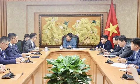 Khuyến khích Tập đoàn TCL chuyển giao công nghệ và hỗ trợ doanh nghiệp Việt Nam tham gia chuỗi cung ứng