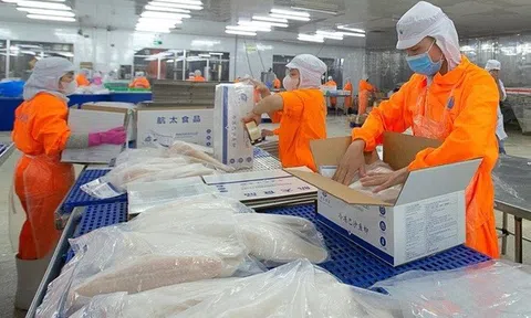 Cổ phiếu ANV của Thủy sản Nam Việt bật tăng sau tin vui từ cổ tức