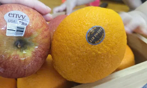 Trái cây, hàng hóa Mỹ ngày càng nhiều tại Việt Nam