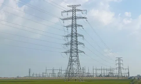 Đóng điện thành công dự án chào mừng thành công Đại hội Đảng bộ Chính phủ lần thứ I