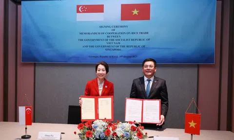 Việt Nam và Singapore ký Bản ghi nhớ hợp tác thương mại gạo