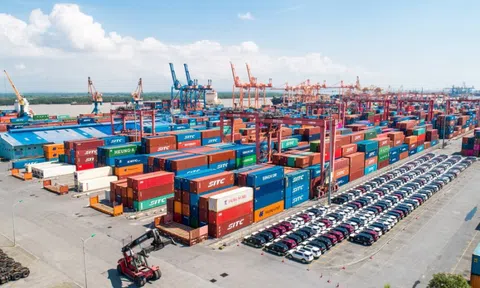 Cảng Đình Vũ đem 80% tài sản đầu tư tài chính