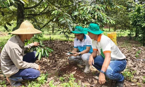 Phú Mỹ hợp tác cùng Enfarm: Bước tiến lớn trong chuyển đổi số nông nghiệp Việt Nam