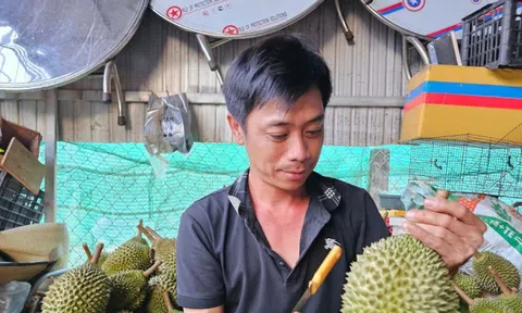 ‘Vua' của các loại sầu riêng bị chê, rớt giá thảm