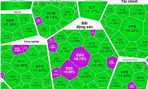 Cổ phiếu bất động sản nổi sóng, loạt mã khoe sắc tím