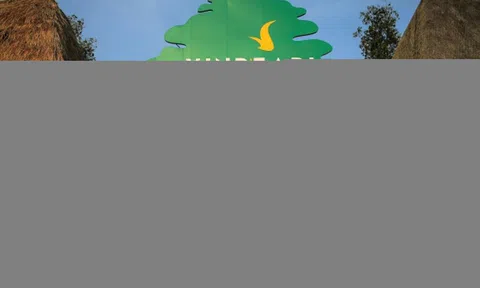 Vinpearl dự kiến lãi 1.700 tỷ đồng năm nay