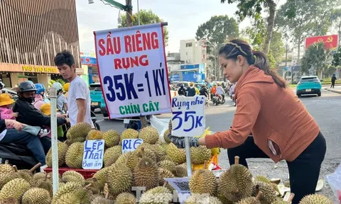 Bất ngờ sầu riêng giá 35.000 đồng/kg: 'Bao ăn, bao đổi'