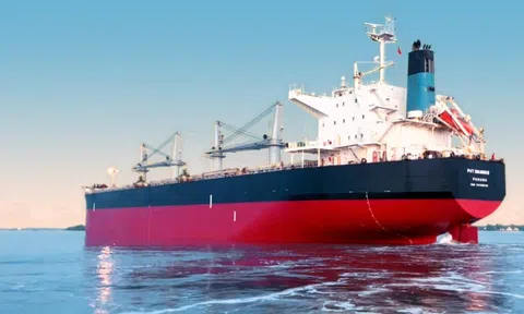 PVT Logistics sắp phát hành hơn 13 triệu cổ phiếu trả cổ tức