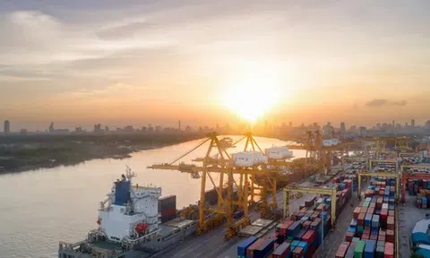 Dự báo mới nhất về tỷ giá VNĐ/USD