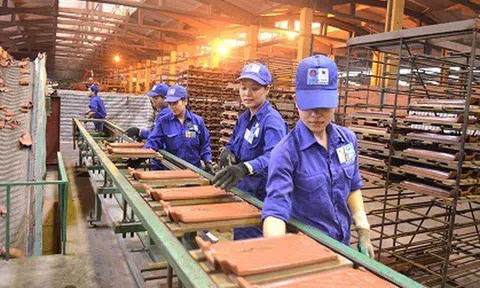 Viglacera Đông Triều đã âm vốn chủ sở hữu