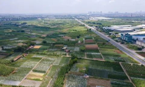 Duyệt dự án 1,5 tỷ USD do Tập đoàn Trump đề xuất ở Hưng Yên