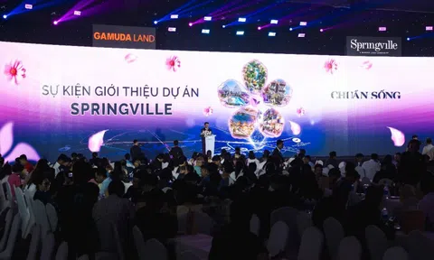97% sản phẩm nhà phố của Springville được “quét sạch” khi vừa ra mắt